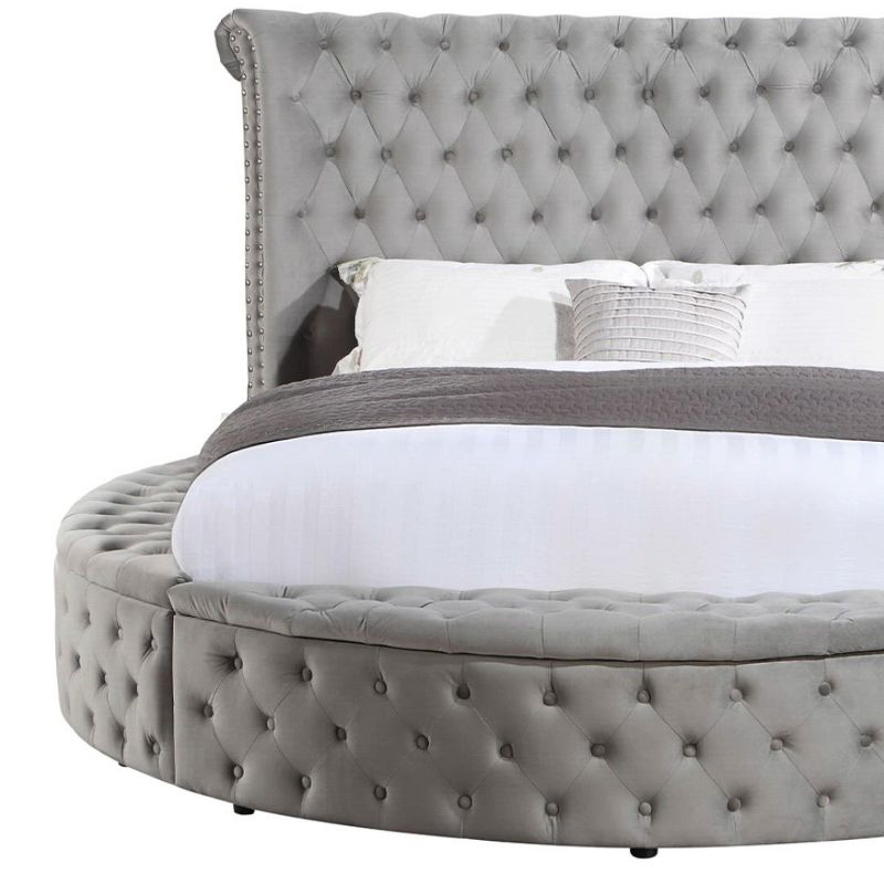 109" Queen Bed Gaiva Bed Gray Velvet - Acme Furniture: Elegant Nailhead, Button-Tufted Design, Wood Composite Frame