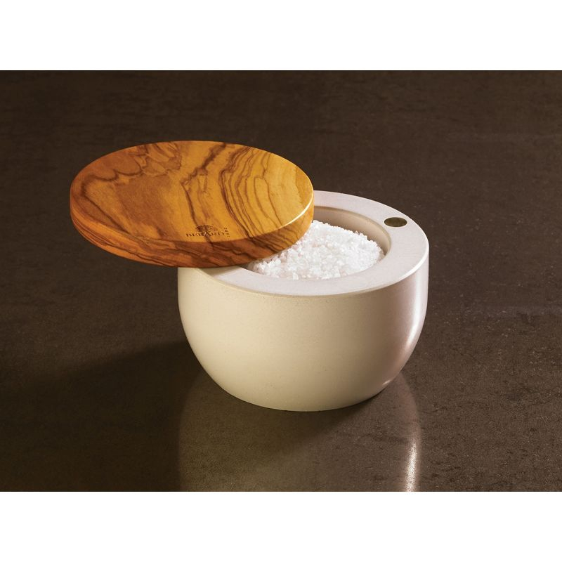 Berard France Olive Wood & Concrete Salt Keeper Box
