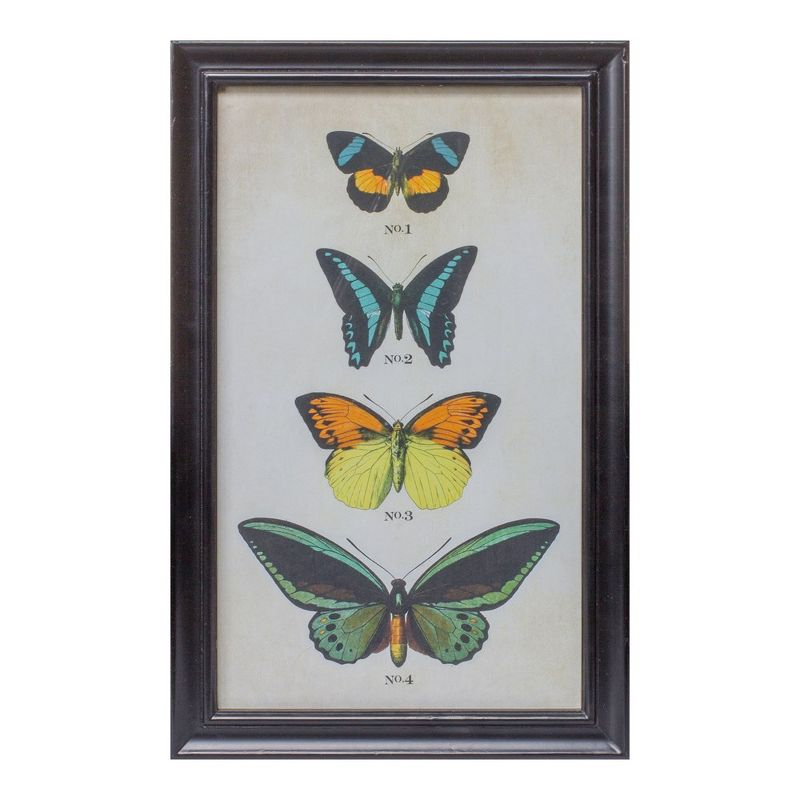 Melrose Framed Encyclopedia Butterfly Print (Set of 2)