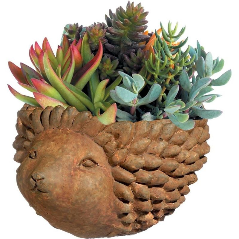 Classic Home and Garden Cement Buddies Indoor/Outdoor Planter with Drainage Hole, Hedgehog, Rust, Large, 7in