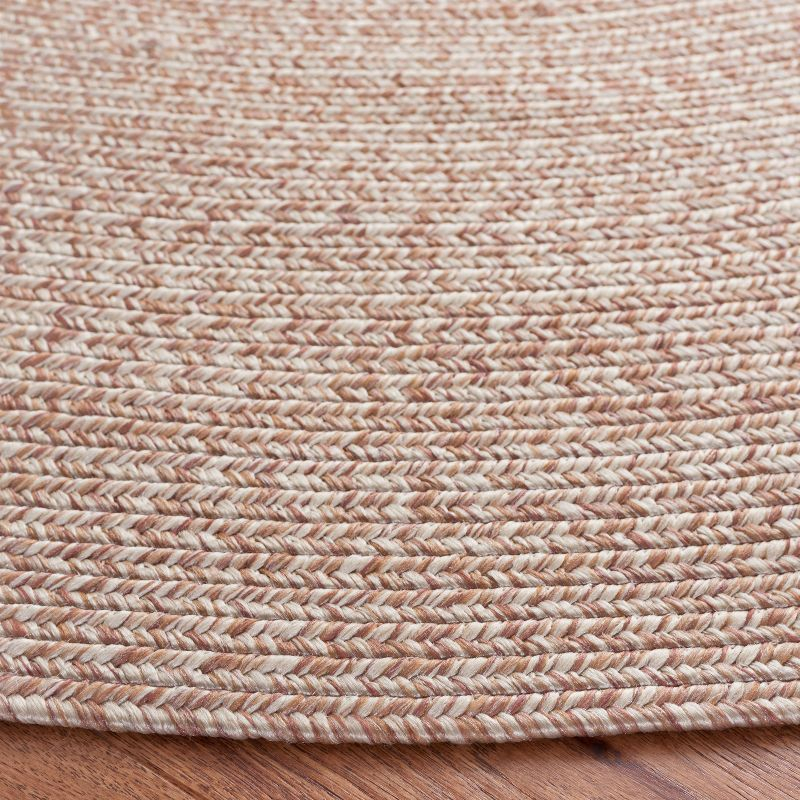 Braided BRA201 Hand Woven Indoor Machine Washable Area Rug - Natural - 6' Round - Safavieh