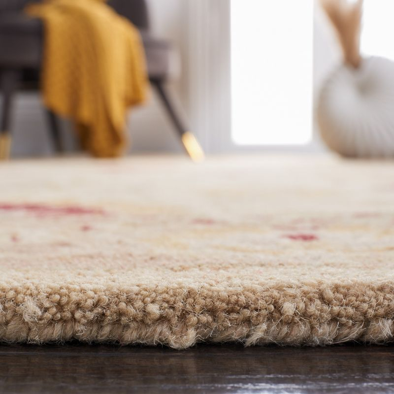 Anatolia AN550 Hand Tufted Area Rug - Sand/Walnut - 3'x5' - Safavieh.