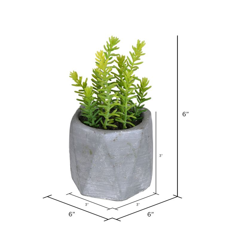 Vickerman 6" Artificial Potted Succulent Arrangements, Set of 3.
