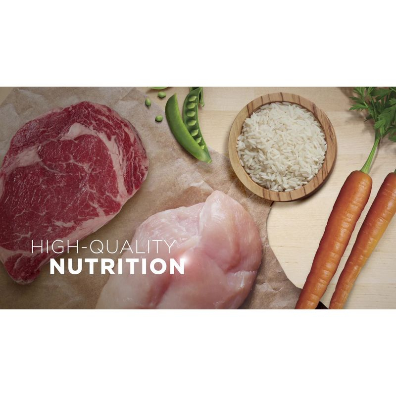 Purina ONE Mainline Small Bites Beef & Rice Flavor Dry Dog Food - 31.1lbs