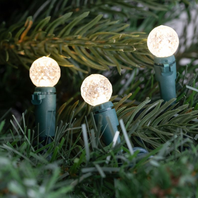 Northlight LED G12 Berry Christmas Lights - Warm White - 16' Green Wire - 50 ct