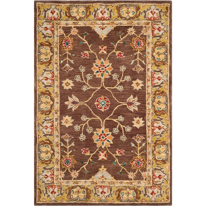 Anatolia AN562 Hand Tufted Indoor Area Rug - Brown/Gold - 4'x6' - Safavieh