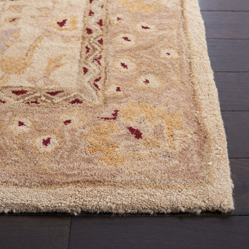 Anatolia AN550 Hand Tufted Area Rug - Sand/Walnut - 3'x5' - Safavieh.