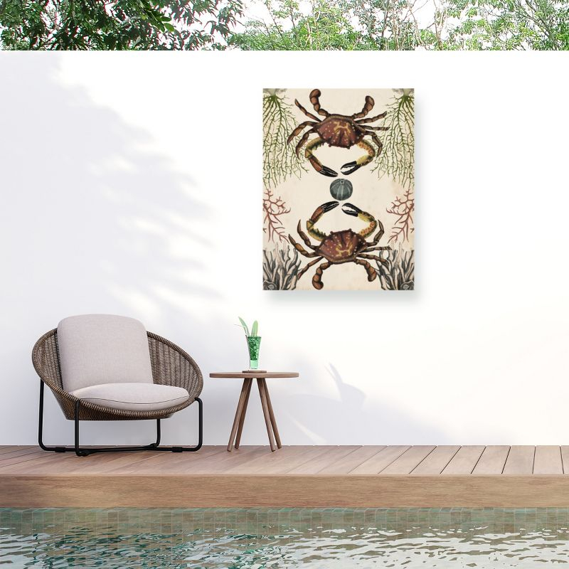 Trademark Fine Art - Naomi Mccavitt 'Antiquarian Menagerie Crab' Outdoor Canvas - 24x32