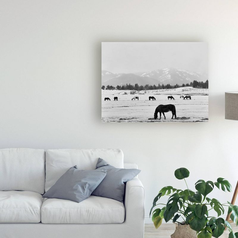 35"x47" Black Horse In Winters Mountains Wyoming by Monte Nagler: Unframed Canvas Wall Art - Trademark Fine Art