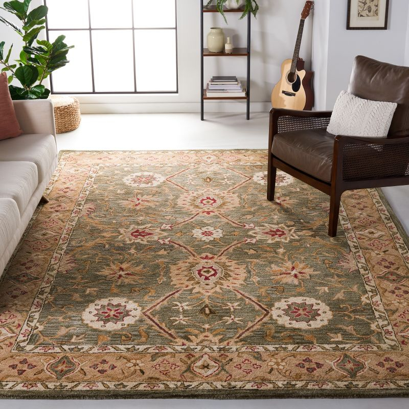 Anatolia AN516 Hand Tufted Indoor Area Rug - Brown/Ivory - 9'x12' - Safavieh
