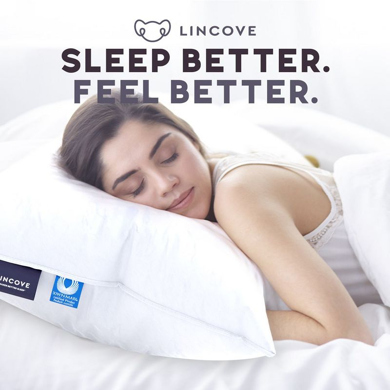Lincove Signature 100% Canadian Down Luxury Sleeping Pillow - 800 Fill Power, 500 Thread Count Cotton Shell, Queen - Medium, 1 Pack