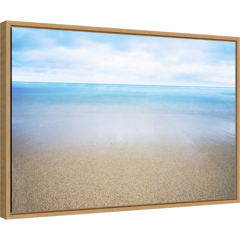 23" x 16" Hawaiian Shoreline and Ocean by Design Pics Danita Delimont Framed Canvas Wall Art - Amanti Art: Seascape for Bedroom Decor
