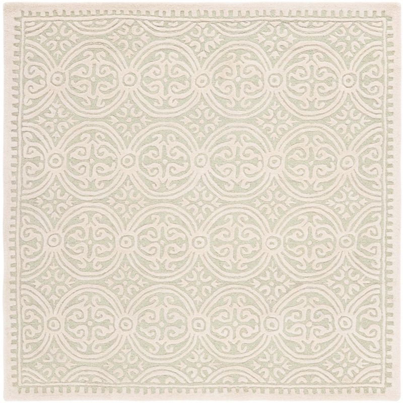Cambridge CAM123 Hand Tufted Area Rug  - Safavieh
