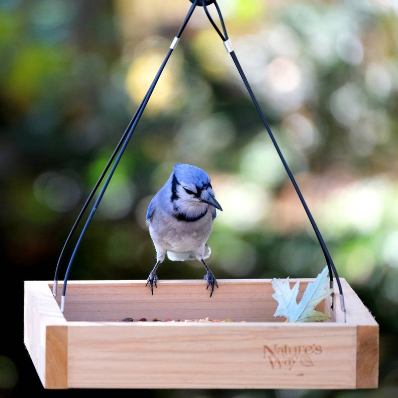 Nature's Way Cedar Tray Bird Feeder: Weather-Resistant Wood, No Assembly, 12x12 Hanging Design