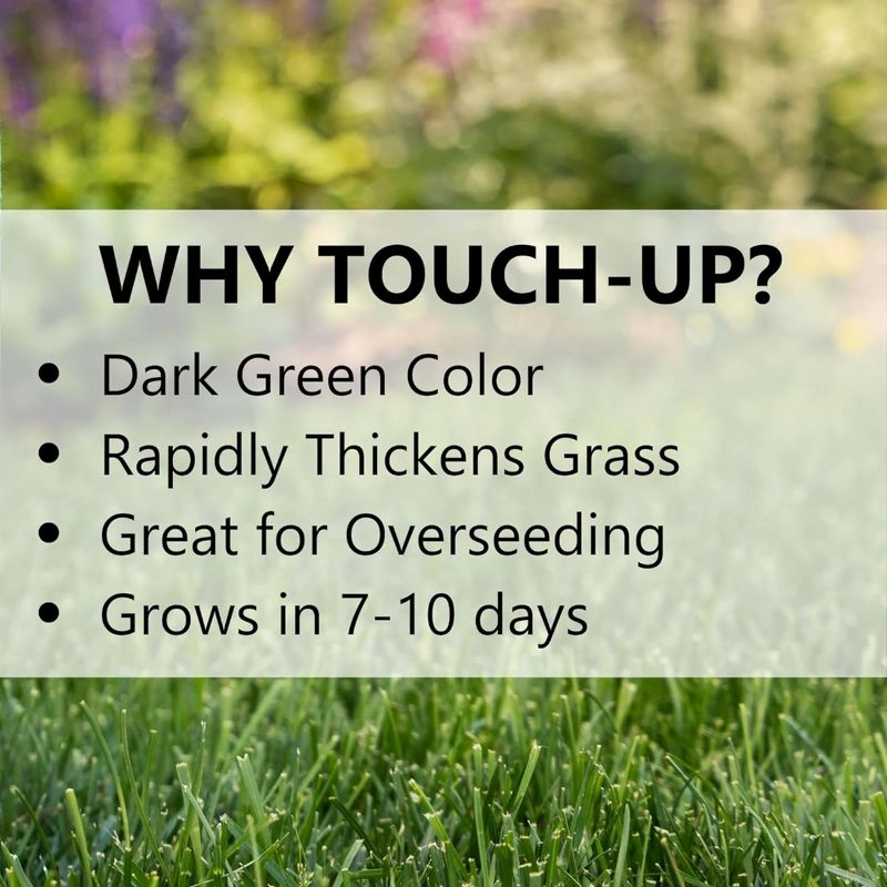 Jonathan Green Touch-Up TRI-RYE Perennial Ryegrass Blend, 25lb