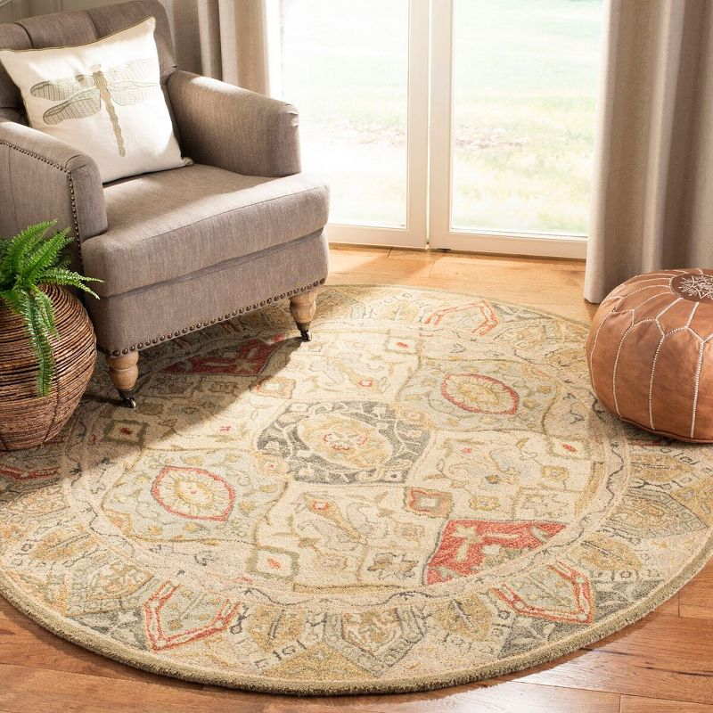 Anatolia AN530 Hand Tufted Area Rug  - Beige/Multi - 4' round - Safavieh.