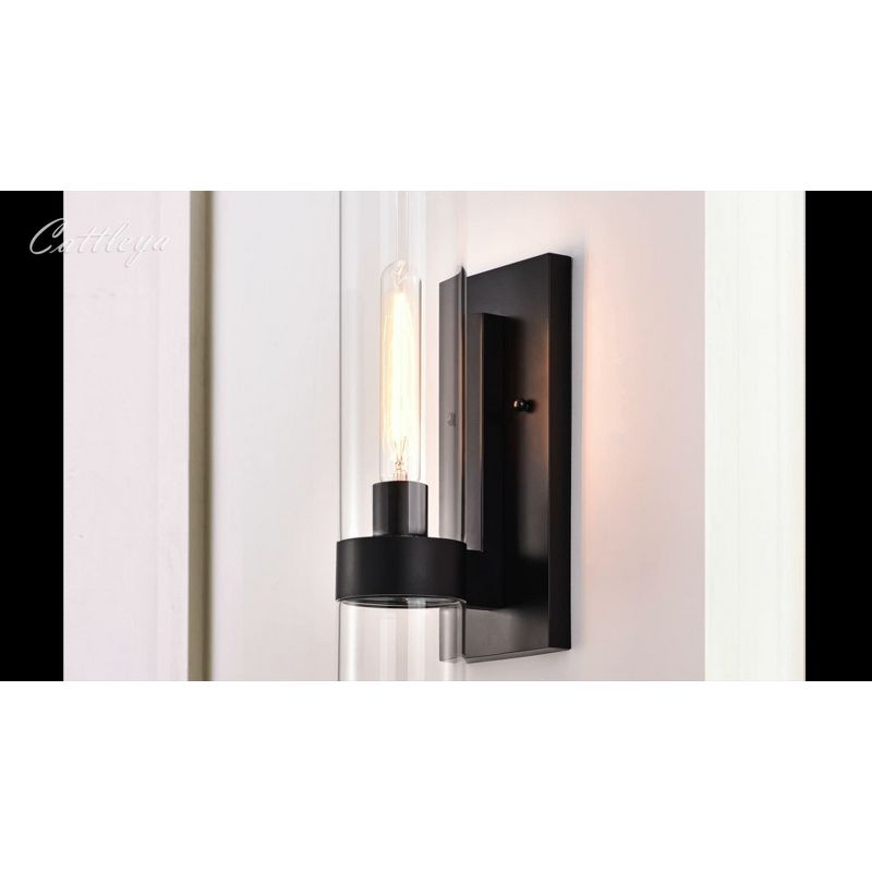 C Cattleya 1 Light Black Wall Sconce, Cylinder Glass Shade