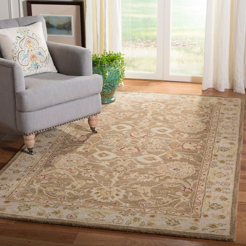 Anatolia AN522 Hand Tufted Indoor Accent Rug - Tan/Ivory - 3'x5' - Safavieh