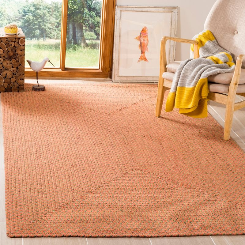 Braided BRD166 Hand Woven Indoor Area Rug - Multi - 8'x10' - Safavieh