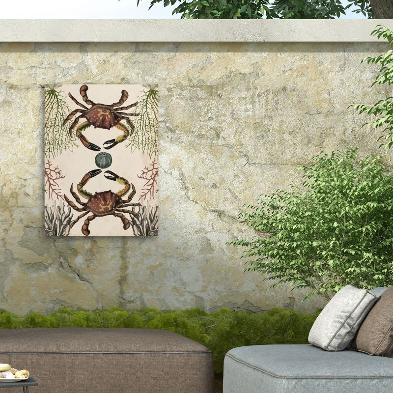 Trademark Fine Art - Naomi Mccavitt 'Antiquarian Menagerie Crab' Outdoor Canvas - 24x32