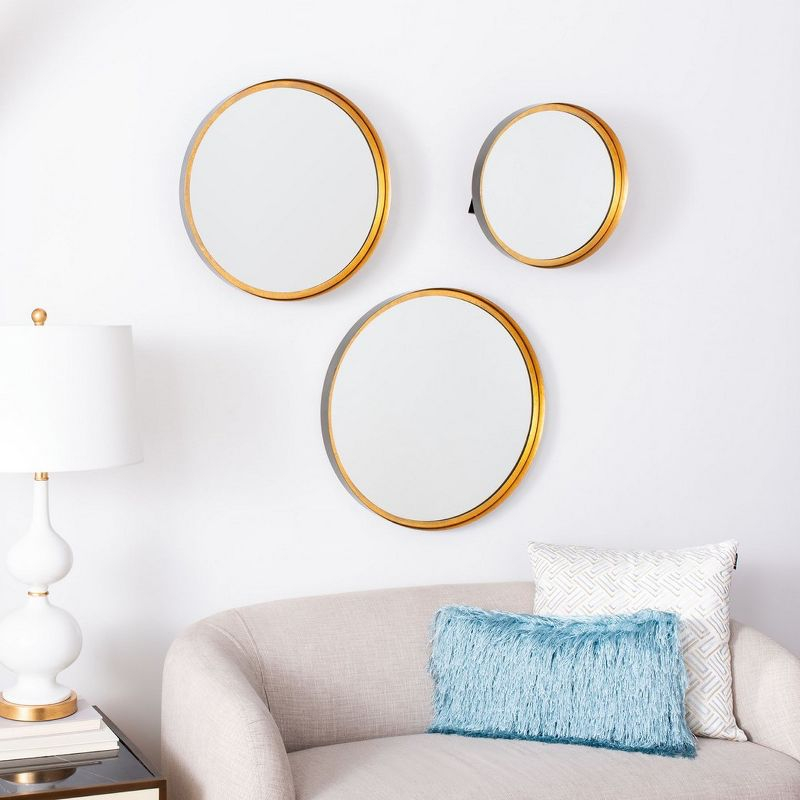 Loni Mirror - Gold Foil/Black - Safavieh