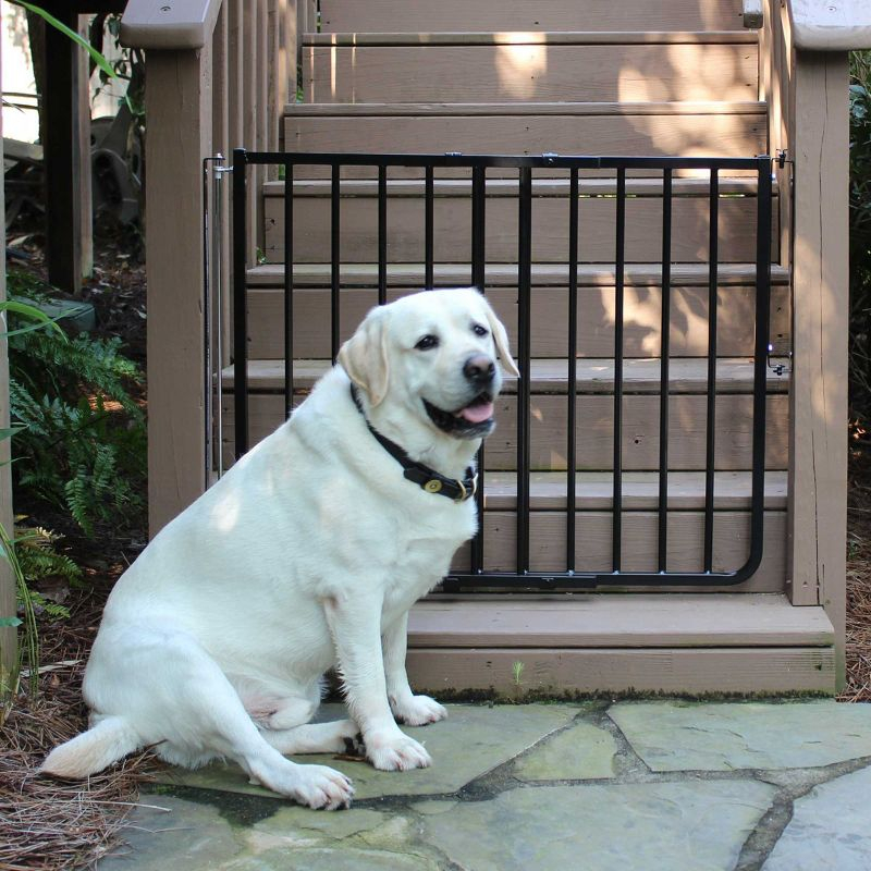 Cardinal Gates SS30OD Outdoor Baby & Pet Gate for Stairs