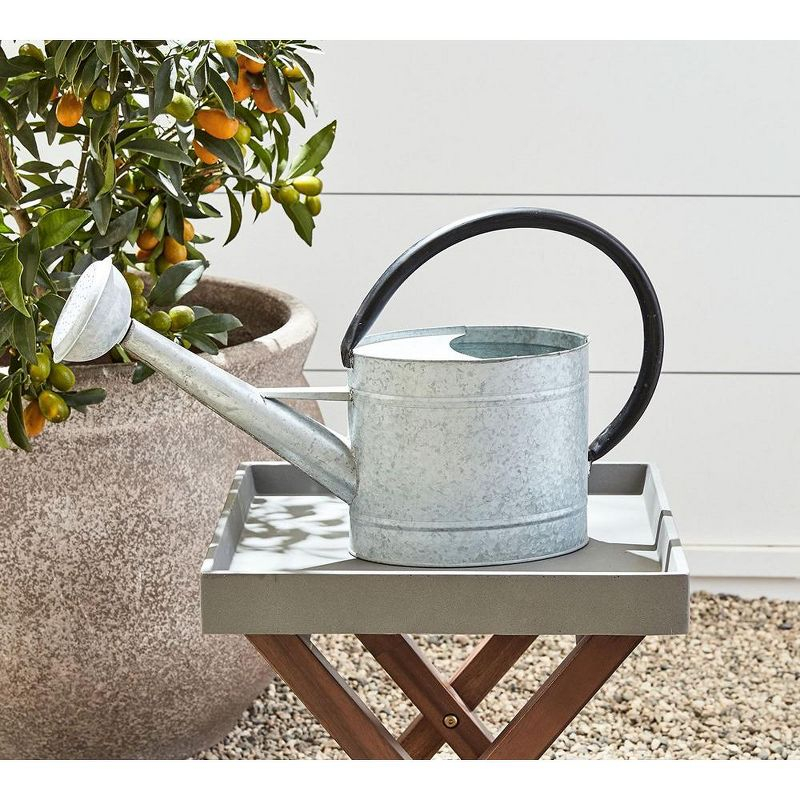 Tierra Garden 1.3-gal Oval Aged Zinc Watering Can