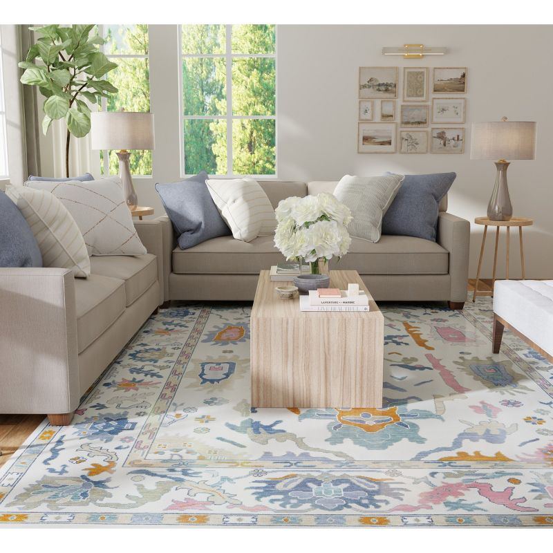 Karina Transitional Floral & Botanical Ivory/Blue/Pink Area Rug