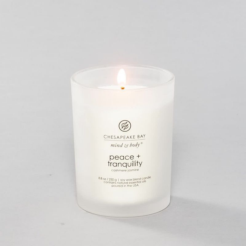 Frosted Glass Escape + Discover Lidded Jar Candle Green 8.8oz - Mind & Body by Chesapeake Bay Candle: Soy Wax, Essential Oils, 44hr Burn
