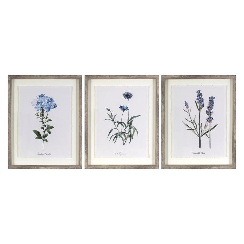 (Set of 3) 16"x20" Framed Vintage Botanicals Decorative Wall Art Natural/Blue - Threshold™