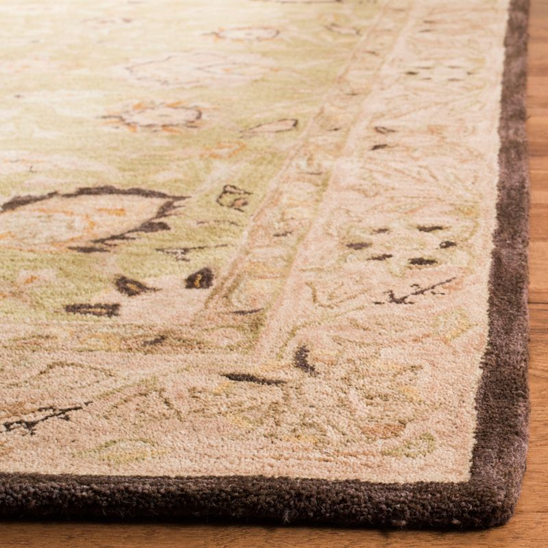 Anatolia AN512 Hand Tufted Indoor Accent Rug - Sage/Beige - 2'x3' - Safavieh