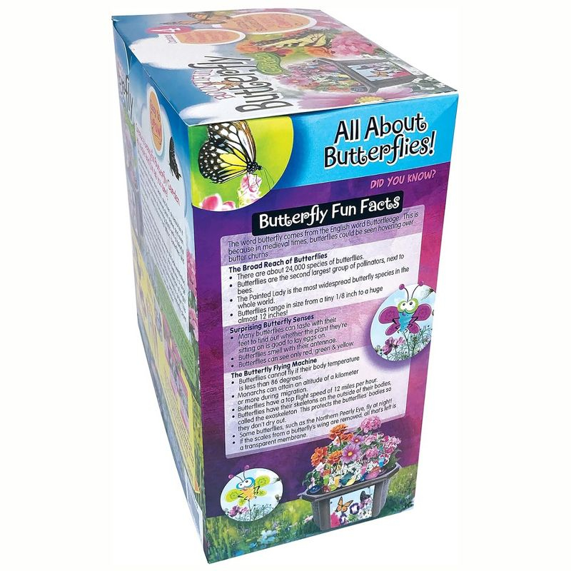 Toys By Nature: Butterfly Garden - DIY Terrarium Kit, Create Habitat