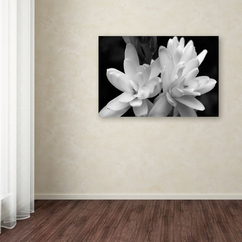 Trademark Fine Art -Kurt Shaffer 'Tuber Rose in Black and White' Canvas Art - 16''x24''