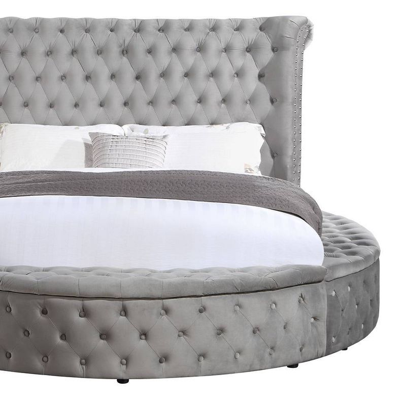 109" Queen Bed Gaiva Bed Gray Velvet - Acme Furniture: Elegant Nailhead, Button-Tufted Design, Wood Composite Frame