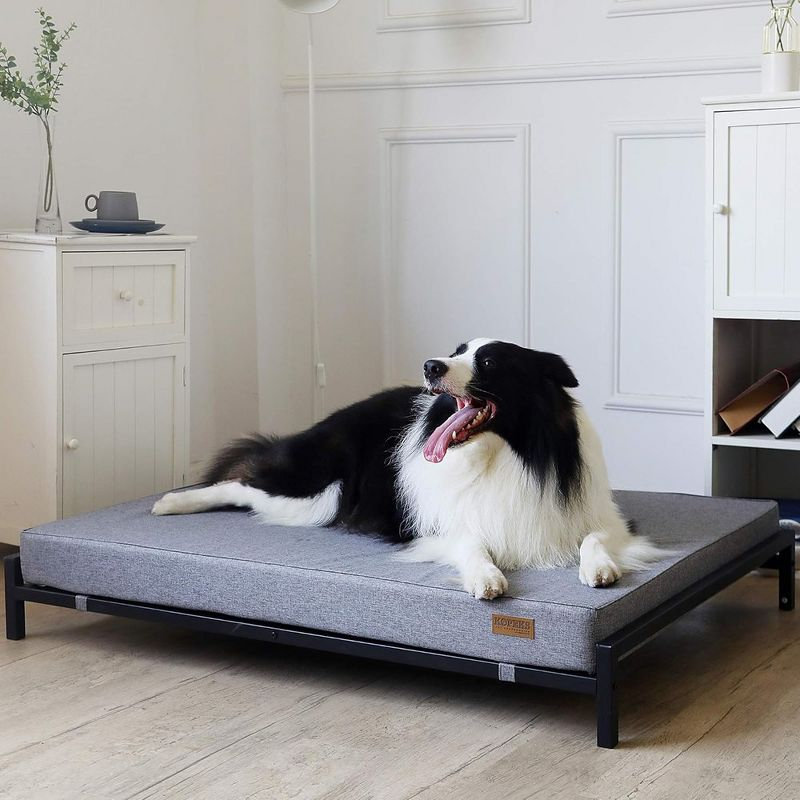 KOPEKS Elevated Foam Dog Bed - XL - Grey