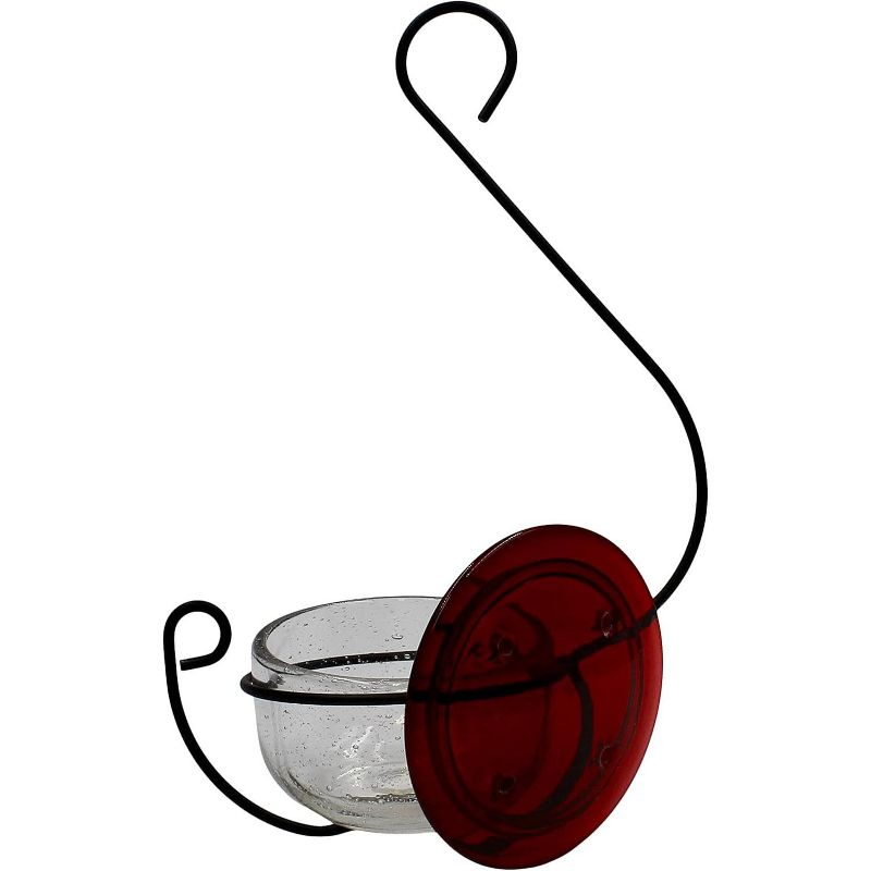 Backyard Essentials Clear Bubble Glass Hanging Hummingbird Feeder - 6 oz