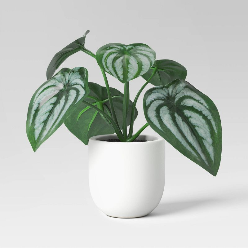 5.5" Mini Tabletop Peperomia  Artificial Plant - Threshold™