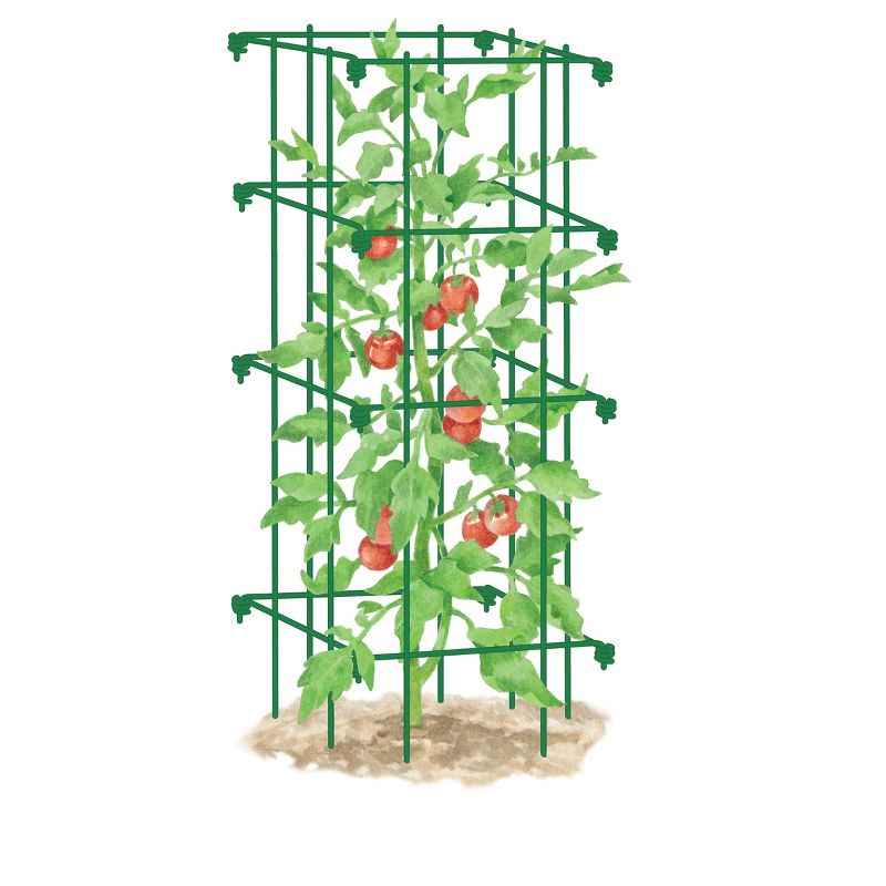 Gardener's Supply Company Lifetime Tomato Cage Plant Stand | 32" High Sturdy Steel Garden Plants Support for Tomatoes and Other Climbing Plants | No
