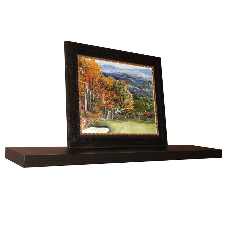 InPlace 48" Floating Shelf Wall Mounted Hidden Brackets Espresso: Modern Wood Composite, 17 lbs Capacity