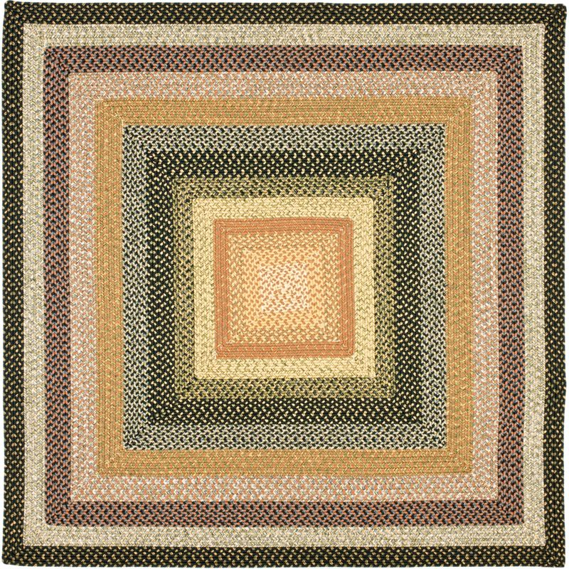 Braided BRD308 Hand Woven Area Rug - Multi - 6'x6' - Safavieh.