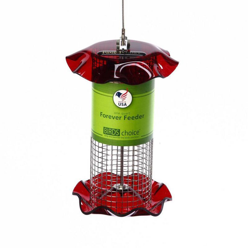 Birds Choice Small Sunflower Seed Forever Feeder with Stainless Steel Screen