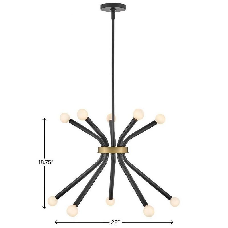 Lark Axton 10 - Light Chandelier in  Black/Lacquered Brass