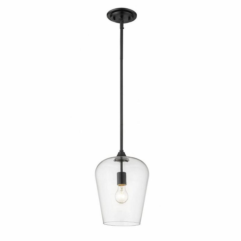 Z-Lite Joliet 1 - Light Pendant in  Matte Black