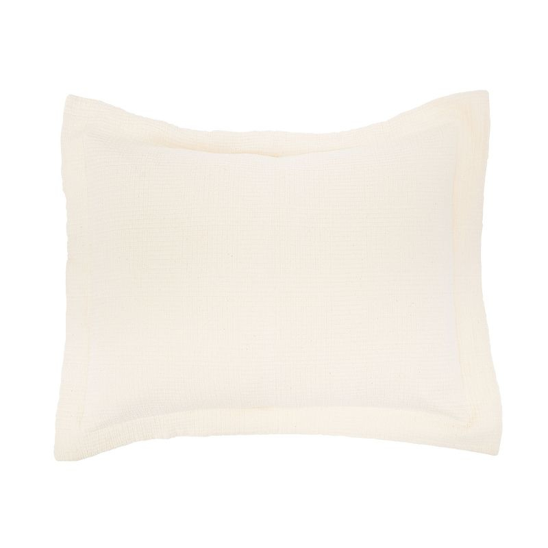 EY Essentials 20" x 26" Delfina Ivory Cotton Standard Sham - Machine Washable