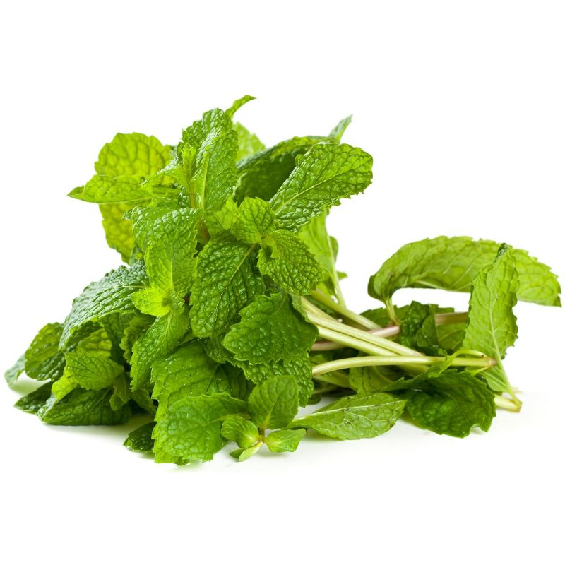 Fresh Mint (Pudina) Leaves - 1.5-2oz - Rani Brand Authentic Indian Products