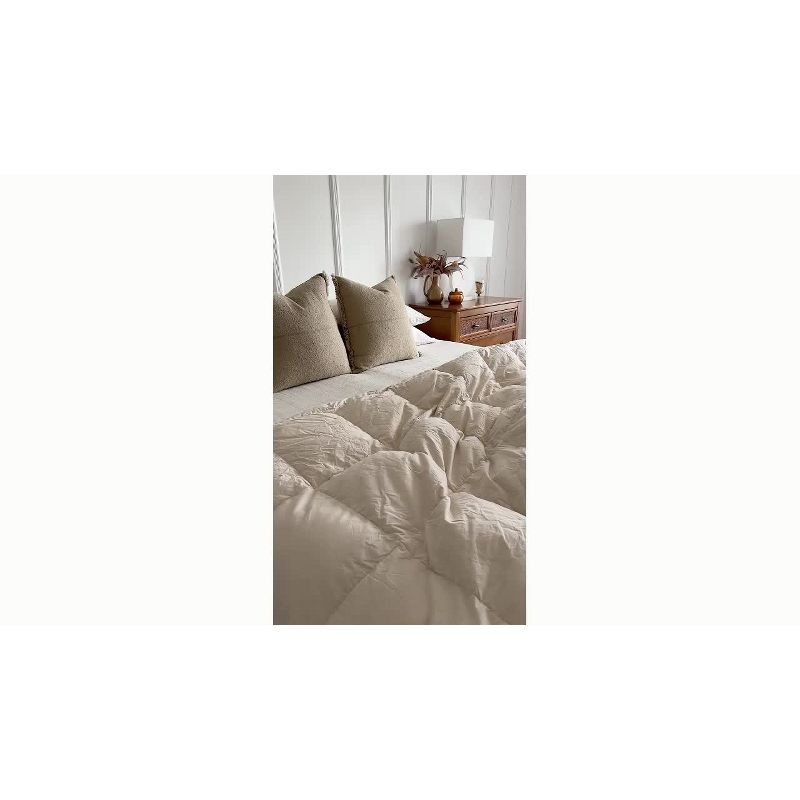 Puredown All Season Organic Cotton Down Comforter - 100% Natural, Chemical-Free, Medium Warmth Duvet Insert, Off-white, Full/Queen