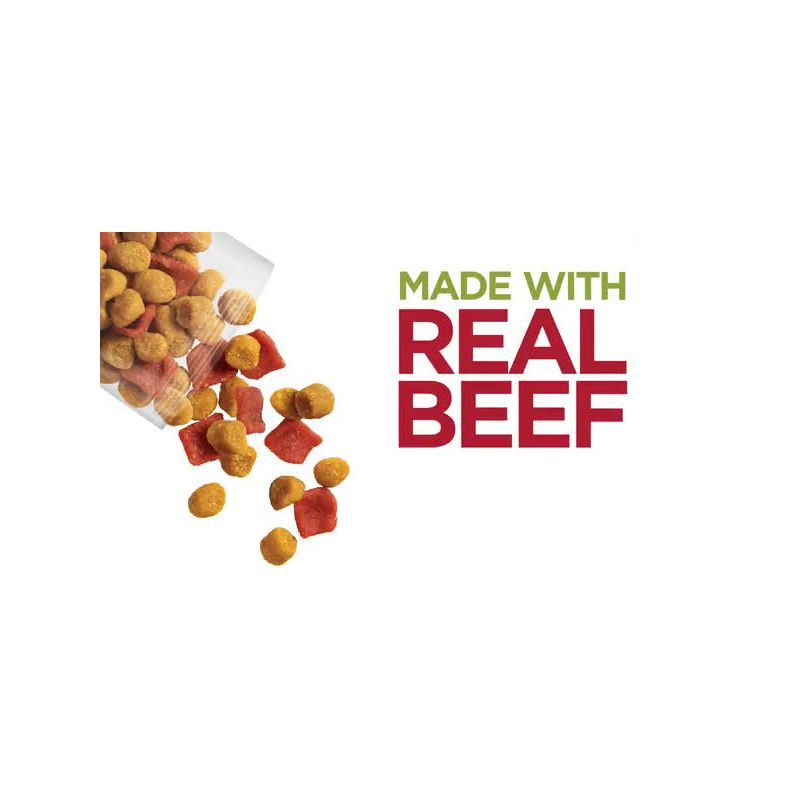 Moist & Meaty Beef Steak Flavor Dry Dog Food - 12ct