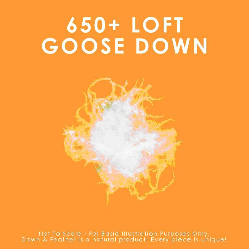 Canadian Down & Feather Company - 650 Loft White Goose Down Comforter Duvet Insert,  Winter Weight - Twin Size