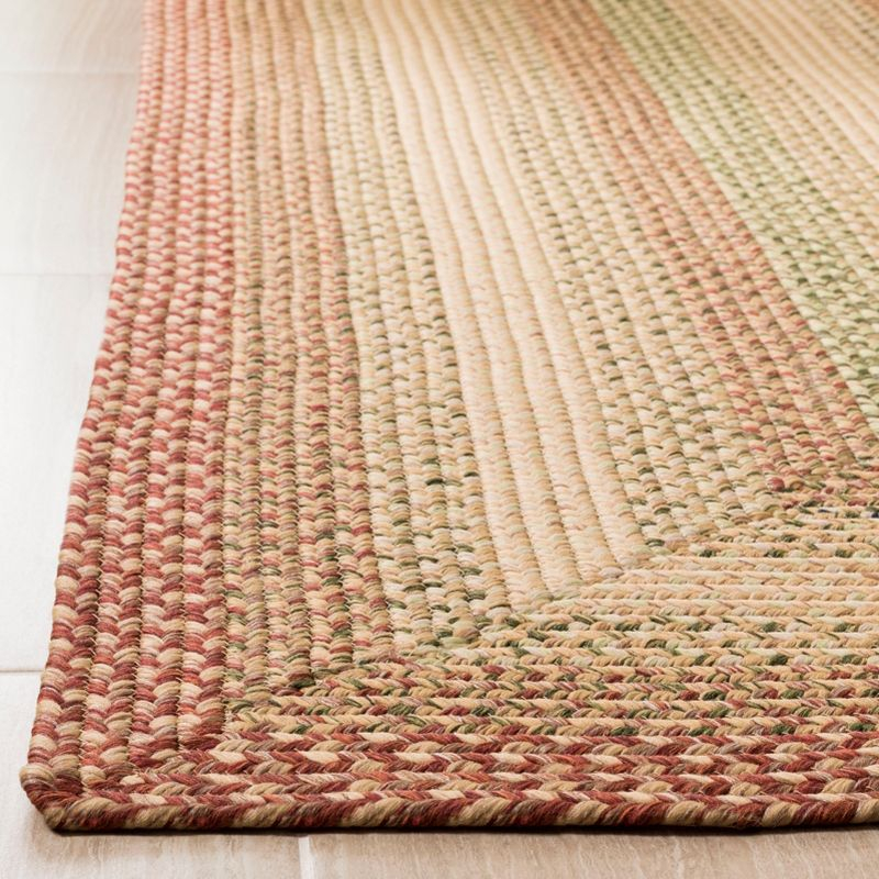 Braided BRD303 Hand Woven Area Rug - Rust/Multi - 5'x5' - Safavieh.