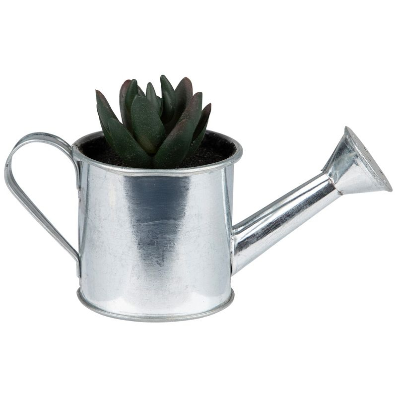 Northlight 4" X Pachyveria Succulent in Water Can Artificial Potted Plant - Green/Silver